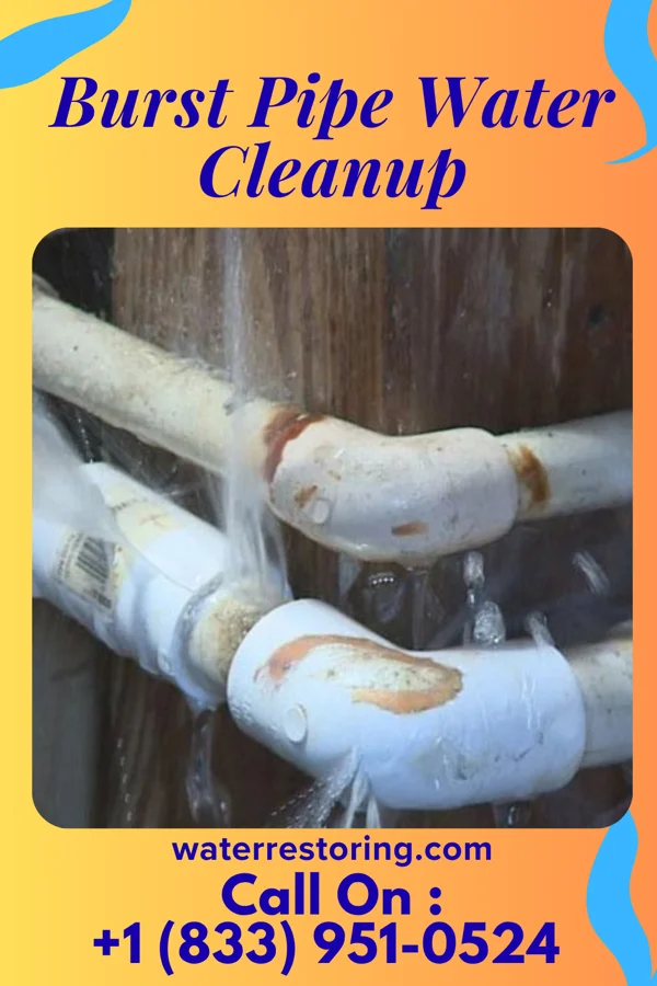 Burst Pipe Water Cleanup in Whitewright, TX