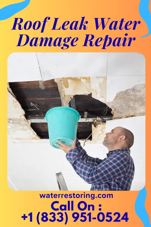 Roof Leak Water Damage Repair in Whitewright, TX
