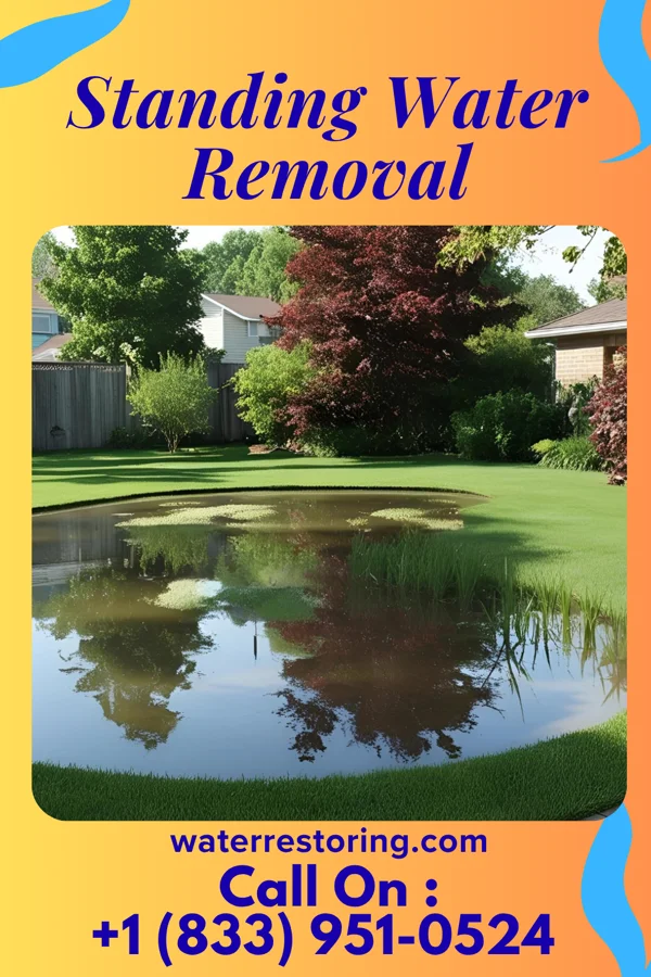 Standing Water Removal in Whitewright, TX